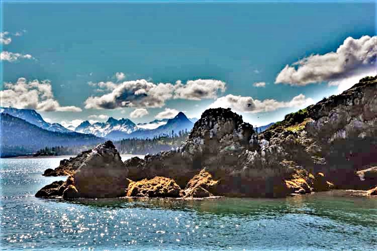 gull island